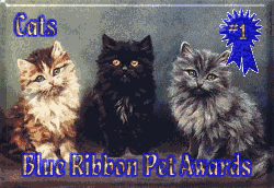 Petsburgh Blue Ribbon Site Award